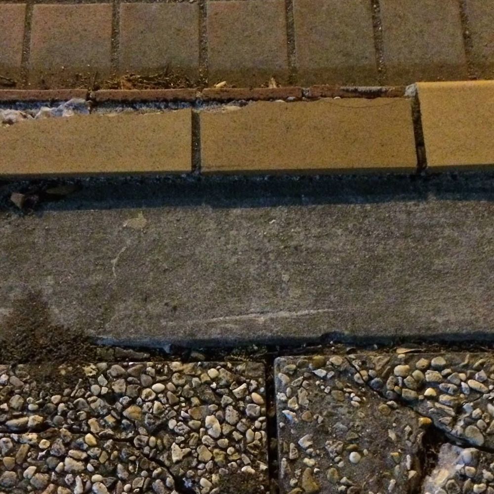 Meet your Posher, Rubaya